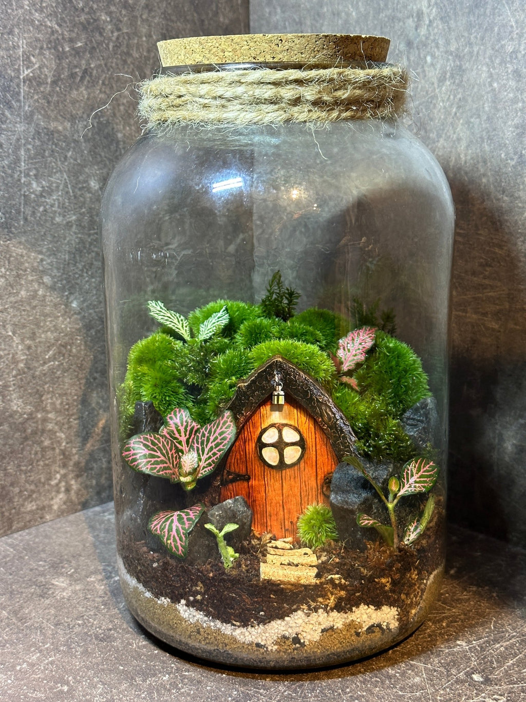 Live Moss - Halaman Habitat -