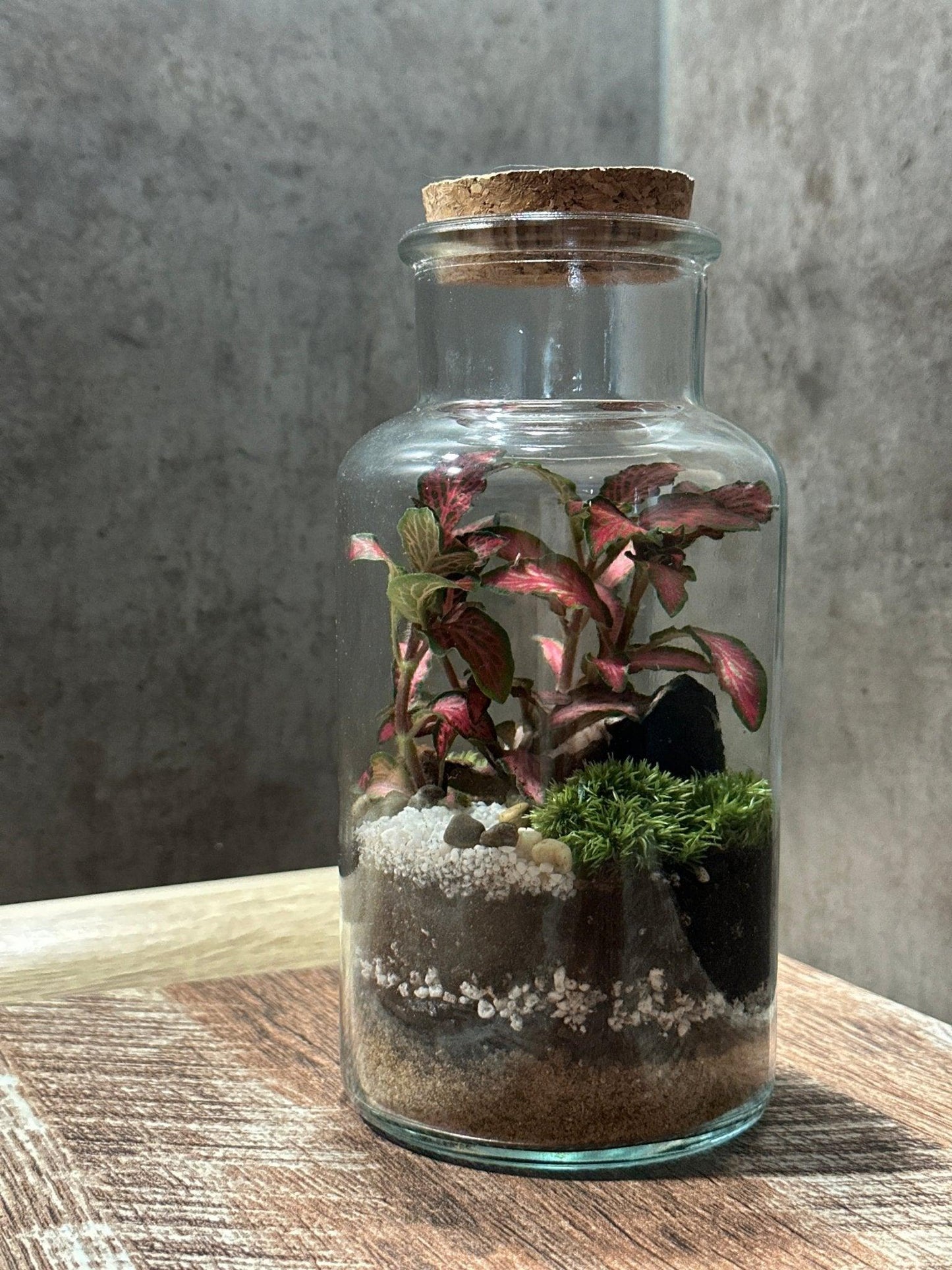 Terrarium Anne - Halaman Habitat -